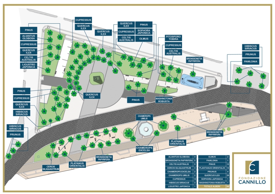 La Fondazione Cannillo si prende cura della conservazione degli alberi di Piazza Vittorio Emanuele